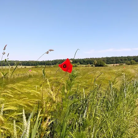 Wohnung-aublick アパート