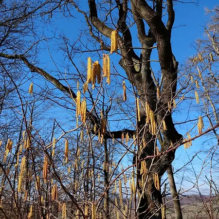 アパート Wohnung-aublick ブーツバッハ