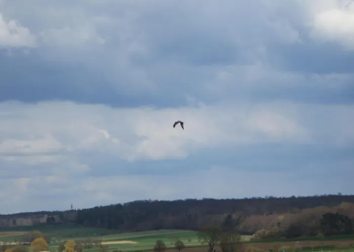 公寓 Wohnung-aublick *